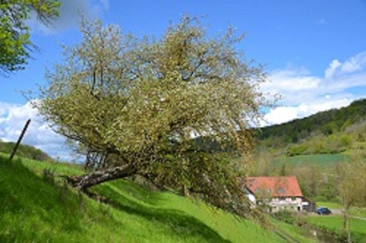 Gasthaus Holdermuehle Creglingen Bagian luar foto